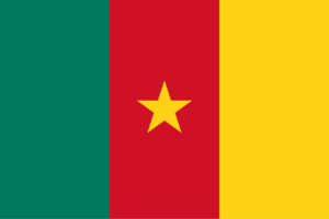 Hire Staff in Cameroon
